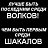 ���� Leon, ������, 41 ��� - ��������� 22 ������� 2011