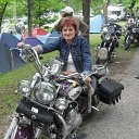  , , 61  -  3  2011     , 