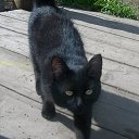 ���� ������)....., �����, 43 ���� - ��������� 12 ���� 2012 � ������ ���� ����������