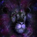 ���� �����, �������, 39 ��� - ��������� 13 ������� 2011 � ������ ���� ����������