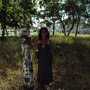 ���� �����, �����, 61 ��� - ��������� 27 ���� 2013 � ������ ���� ����������