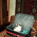 ���� �������, ������ - ��������� 23 ������� 2012 � ������ ���� ����������