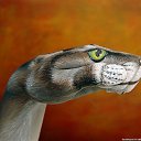 ���� ��@���, ��������� - ��������� 7 ������� 2011 � ������ ������-������........�