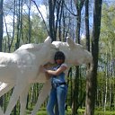 ���� �����, ����-�������, 37 ��� - ��������� 18 ���� 2013 � ������ ���� ����������