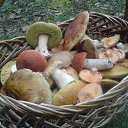 ���� ���������, ��������, 70 ��� - ��������� 14 ��� 2012 � ������ �������