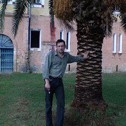 ������, �������������