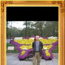  Petr, , 66  -  8  2013    