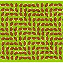 ���� �����, ������, 26 ��� - ��������� 11 �������� 2010 � ������ ������ �������