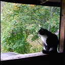 ���� �������, �����-���������, 69 ��� - ��������� 28 �������� 2012 � ������ ������������ ������