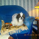 ���� Vladimir, ������ - ��������� 26 ��� 2012