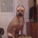 ���� ����, �������, 45 ��� - ��������� 21 ������ 2011 � ������ ���� ����������