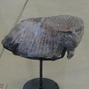  .,  -  4  2011   