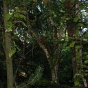 ���� �����, ����������, 44 ���� - ��������� 6 �������� 2010 � ������ �������