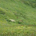 ���� Dj Haker, ����, 32 ���� - ��������� 1 ����� 2010 � ������ ������� �����-2�