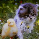 ���� �����, ������, 62 ���� - ��������� 22 ������ 2011 � ������ ���������� ������