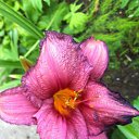 ���� ������, ������, 63 ���� - ��������� 22 ������� 2013 � ������ ������-���� �����....�