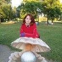 ���� ��������, ����� - ��������� 23 ���� 2013