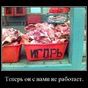  , , 50  -  24  2011   ))))))