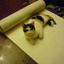 ���� Hell Girl, ���������, 31 ��� - ��������� 22 ������� 2010 � ������ ��������� ���