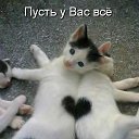 ���� ������, ����, 40 ��� - ��������� 29 ������ 2010 � ������ ������� �����.�