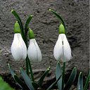 ���� Val, ������, 51 ��� - ��������� 1 ������ 2011 � ������ �������