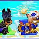  (  ),  , 54  -  10  2010    