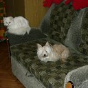 ���� Katkas, �������, 45 ��� - ��������� 30 ������� 2009 � ������ ����������