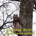 ���� ����, �����-���������, 45 ��� - ��������� 3 ���� 2011 � ������ �������������)�