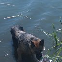 ���� �����, �������, 42 ���� - ��������� 16 �������� 2012 � ������ ���������