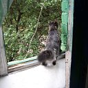 ���� �����, ����������, 59 ��� - ��������� 27 ������� 2010 � ������ �������