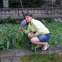 ���� �����, �����������, 55 ��� - ��������� 29 ���� 2013 � ������ ���� ����������