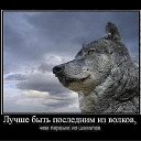 ���� ����, �����, 37 ��� - ��������� 3 ������� 2012 � ������ ���� ����������