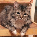 ����.
���� ����� �������� � ����� ������, �� ������ ��������� ���, ��� ���� ������ ������, � ������ �������� ����� ���������. �� �� ��� ����� � �������.
������� 16 ��� � 2 ������, ������ 20 ������� 2008 ���� �� ������� ���������� (����)�