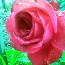 ���� Kira, ������, 65 ��� - ��������� 2 ������ 2010 � ������ �������