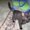 ���� ������, ������, 63 ���� - ��������� 21 ������ 2013 � ������ ���� ����-�����