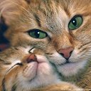 ���� &deg;&bull;*������&deg;&bull;*, ����������, 23 ���� - ��������� 3 �������� 2010 � ������ �������