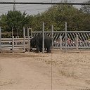 ���� ������, ������-��-����, 41 ��� - ��������� 8 ��� 2012 � ������ �� ��������