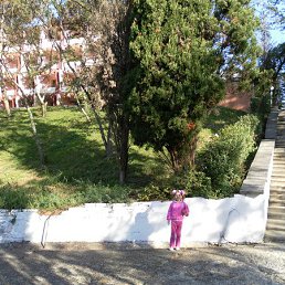 ������, �����������, 61 ���