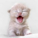 ���� ��� ����� :D, ����� - ��������� 2 ������� 2012 � ������ ���� ����������