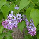 ����� ������ �������! �� ������� ���� ����������