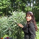 ���� Estrena, ������, 65 ��� - ��������� 23 ��� 2013 � ������ ���� ����������