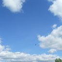 ���� �������, ������������, 48 ��� - ��������� 28 ������� 2011 � ������ �������