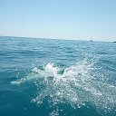 ���� �������, �����-���������, 40 ��� - ��������� 21 ����� 2013 � ������ ���� ����������