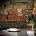 ���� ��������, �������, 58 ��� - ��������� 15 ������ 2011 � ������ ������� �����(����� ������ ������)�