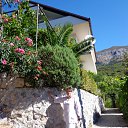 ���� Svetlana, �����, 57 ��� - ��������� 3 ������ 2012 � ������ ���� ����������