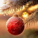 ���� Vava, �����, 55 ��� - ��������� 23 ���� 2013 � ������ ���� ����������