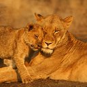 ���� ������, �������, 29 ��� - ��������� 24 ������� 2010 � ������ ���� ����