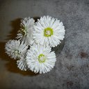 ���� ������, ���! - ��������� 13 ������� 2012