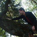  , , 38  -  5  2009    - 