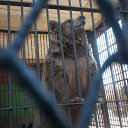 ���� ������(�������), �����, 61 ��� - ��������� 7 ��� 2011 � ������ ���� ������